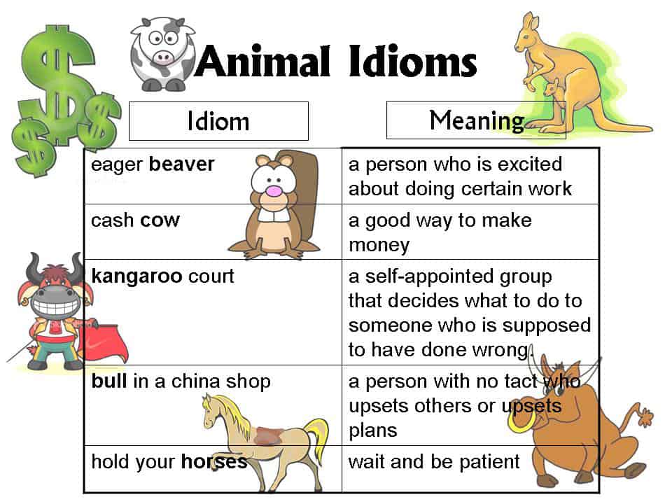 Idioms: animals - languagePRO
